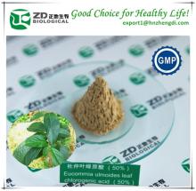 Factory supply 100% Natural Eucommia Leaf Extract