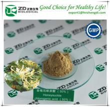China herb extract honeysuckle flower extract Chlorogenic acid