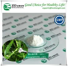 Pure 4%-99% pharmaceutical grade andrographolide