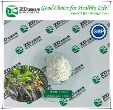 New product Loquat Leaf extract/loquat extract with Ursolic Acid