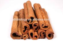 Cinnamon Bark Extract Powder
