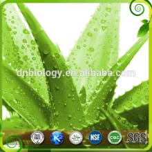 Factory Supply 100% Natural Aloe Vera Extract /Aloin Barbaloin