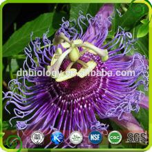 Passion Flower Extract