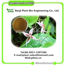Hot sale 10% Epimedium extract icariin