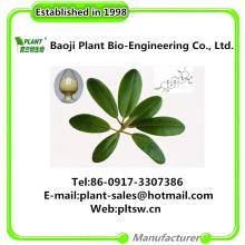 Ursolic acid 25% natural extracted