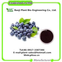 Hot Selling Natural Blueberry Extract / Bilberry Extract