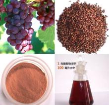Hot Selling Grape Seed Extract