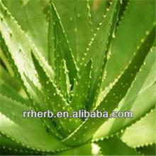 GMP factory aloe emodin aloe vera extract