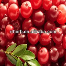 Cranberry P.E.