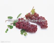 Grape Seeds Extract