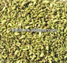 100% natural Isoquercitrin Rutin,Sophora japonica Extract with 98%