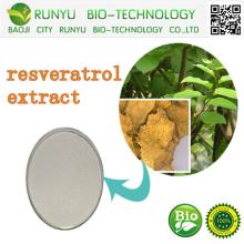 resveratrol extract