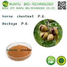 Horse chestnut/buckeye extract aescin powder