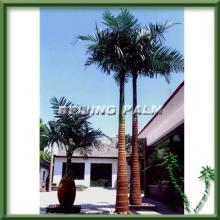Plastic coconut palm tree for outdoor decoration