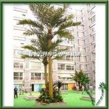 6m outdoor coconut tree in Water Park