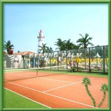 6m outdoor coconut tree with fruit in Water Park,