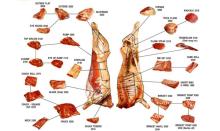  frozen   beef   meat   halal 