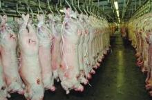  Lamb   Carcass  (8-16kg) -  Halal  Certified