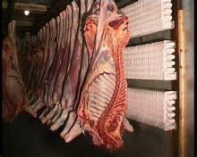 Halal Frozen Beef