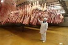 Frozen Beef Meat grade A