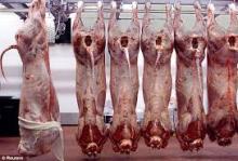  Australian   Beef , lamb and mutton  meat 