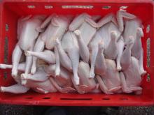 Whole Chicken / Hen Frozen