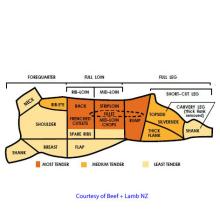 New Zealand Halal  Lamb  Carcasses and Cuts