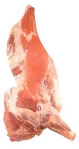 fresh  beef   quarter s
