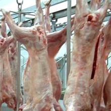 Meat: beef, veal, sheep, chicken, turkey. Fresh and frozen!