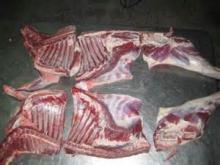 Halal  Frozen   Lamb  Fore Shank/ frozen   lamb   leg /  Frozen  Goat, 6-way cut