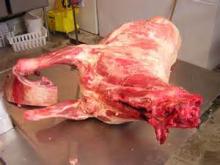 Halal Fresh/Frozen Sheep/Goat/Lamb Meat/Carcass