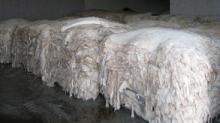 Wet   salted   cow  skin,  cow   head s and animal skins, wet  blue  cow  hides