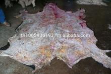 salted cow skin, cow heads and animal skins,wet blue cow hides