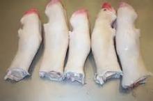  Frozen   Beef   Feet 