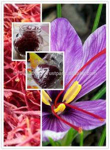 iranian saffron saffron tea