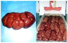 Frozen Beef Kidney