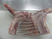  Halal  Frozen  Lamb  Fore Shank/frozen  lamb   leg 