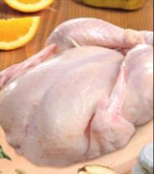 Halal  Frozen  Whole  Chicken 