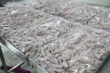 Top Quality Grade A Frozen Chicken feet