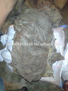 HALAL Certification and Beef Type Salted Omasum