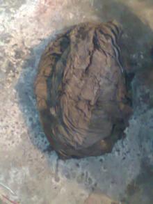 Stomach Part and Vacuum Pack Packaging FROZEN Washed BEEF OMASUM
