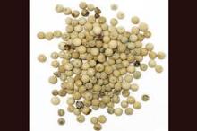 White Pepper Seeds
