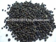 Black Pepper Seeds