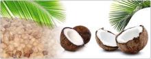 FRESH  COCONUT S