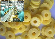 CANNED PINEAPPLE SLICES ,BROKEN,PIECE,