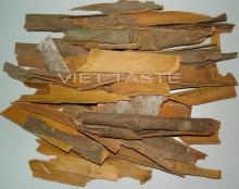 Broken Cinnamon