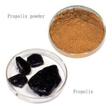 Sell Fresh Royal Jelly And Bee Propolis, Honey