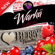 Warka Berry Premium 0,75L Bottle