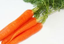Carrot Concentrate