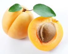 Apricot puree